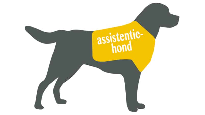 Hond met een geel hesje met tekst assistentiehond