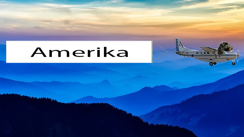 Airplane with Sophie and a flag behind it with text America